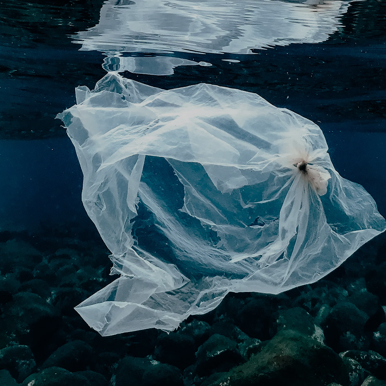 MICROPLASTICS