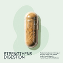 PRE ORDER: Starter Pack | Daily Microplastic Binding + Digestive Health Probiotic (Jar + 30d Supply)