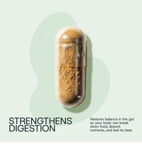 PRE ORDER: Starter Pack | Daily Microplastic Binding + Digestive Health Probiotic (Jar + 30d Supply)