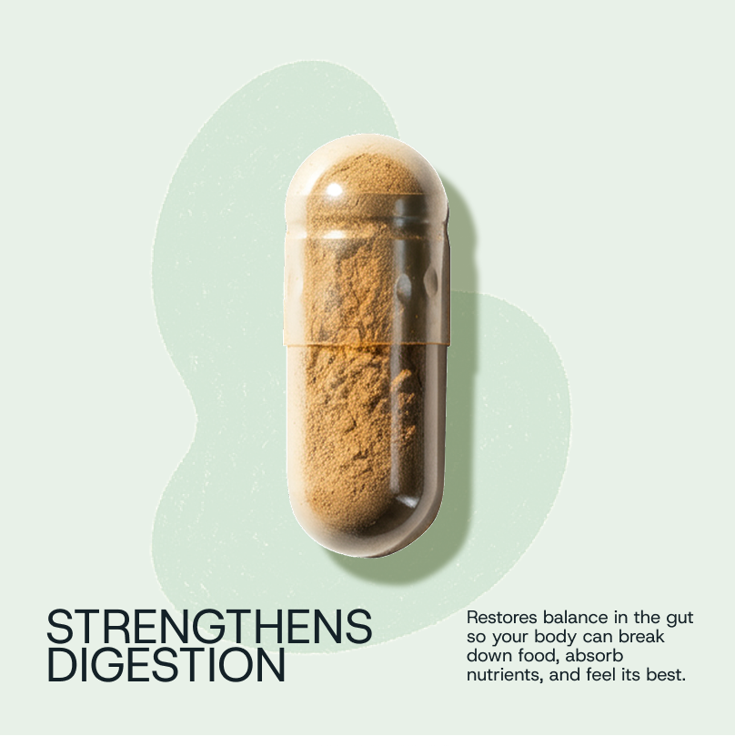 PRE ORDER: Starter Pack | Daily Microplastic Binding + Digestive Health Probiotic (Jar + 30d Supply)
