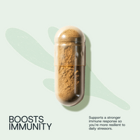 PRE ORDER: Starter Pack | Daily Microplastic Binding + Digestive Health Probiotic (Jar + 30d Supply)